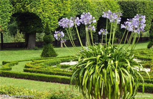 ÒòÁ¿×ÓÁ¦Ñ§ÁìÓò¹±Ï× 3Ãû¿ÆÑ§¼Ò»ñ°ä2025Äêŵ±´¶ûÎïÀíѧ½±