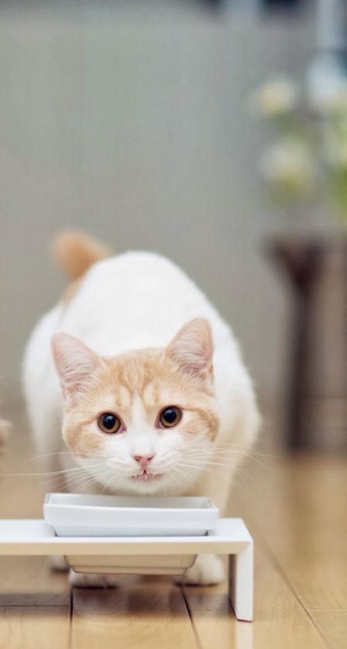 Òø±£¼à»á£ºÎÒ¹úÒøÐÐÒµ´û¿î²¦±¸Óà¶î´ï6.5ÍòÒÚÔª