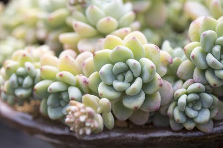 ɽһС5δůνģ31չů