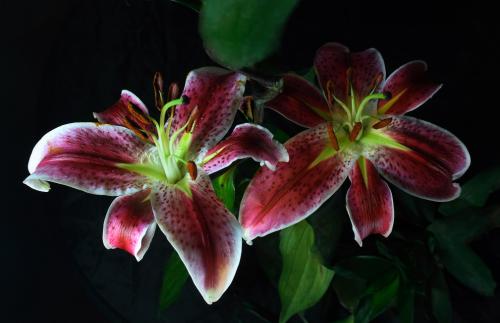 杭州西溪路人行道塌陷现场发现1名失联人员