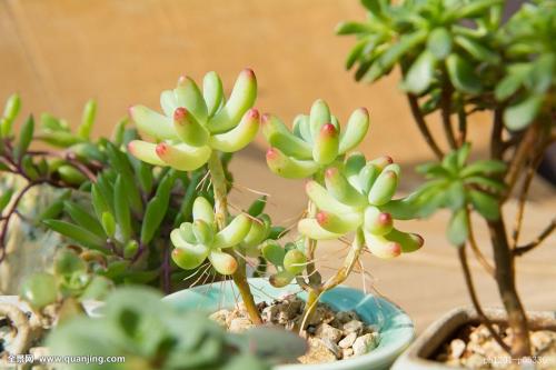 ¶í×ÜͳǩÊð·¨Áî·ÏÖ¹¡¶Å·ÖÞ³£¹æÎä×°Á¦Á¿ÌõÔ¼¡·