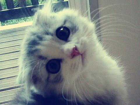 19¹«ÀÎÒ¹úÊ××ù¹«ÌúÁ½Óÿ纣´óÇÅÈ«²¿¿ªÍ¨