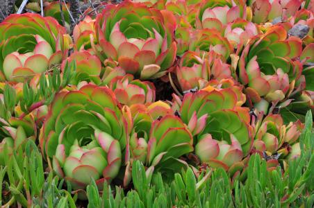 ÍõÒ»²©¸æºÚÇÖȨ°¸½«ÓÚ11Ô¿ªÍ¥