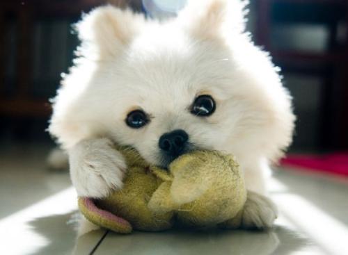 ίʮߴȫٿ桰ʮ塱׶չͼ