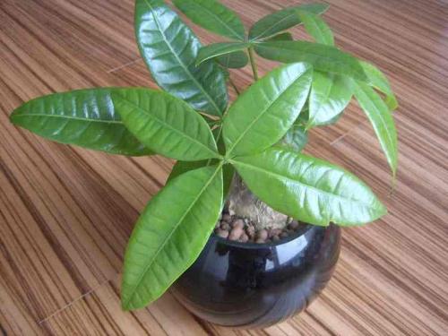 ֱΪʯҵ 㶫Ļᡰ˷硱ת