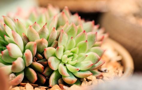 ҳܰ,ʦ͵͵ڿ ϸλǩЭ飿