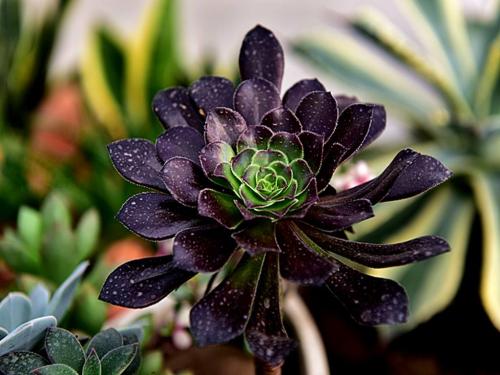 ܹģ2000ԪйҵĻ仧Ϻ